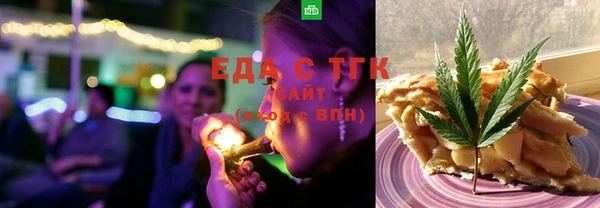 хмурый Аркадак