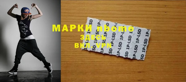 хмурый Аркадак