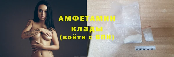 хмурый Аркадак