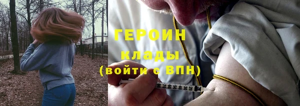 хмурый Аркадак