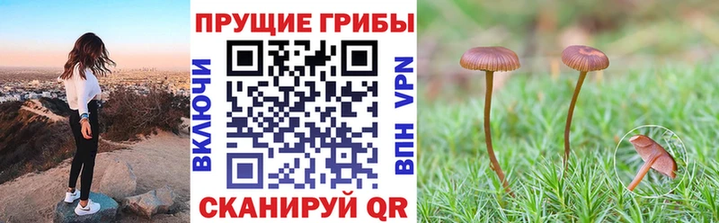 Галлюциногенные грибы мухоморы  Купить закладки  Видное 